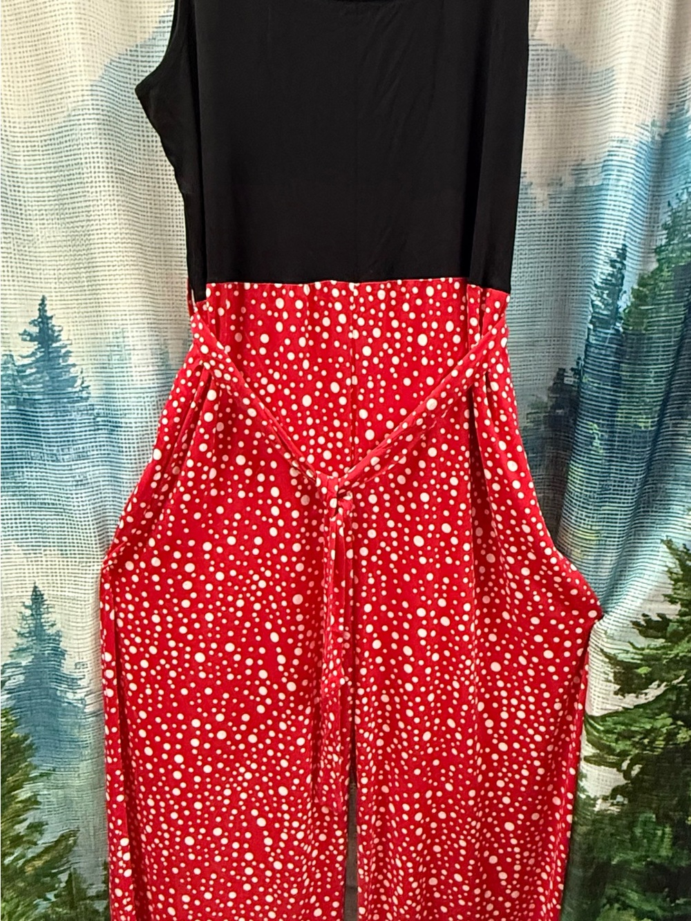 Black & Red Polka Dot Jumpsuit